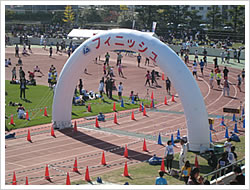 広島国際平和マラソン